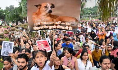 Supreme Court Allows Release of Stray Dogs After Vaccination, Modifies Earlier Directive