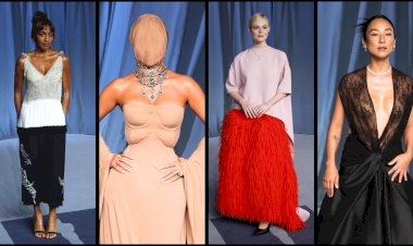 When Cinema Meets Couture: The Best Red Carpet Looks from the Academy Museum Gala 2025